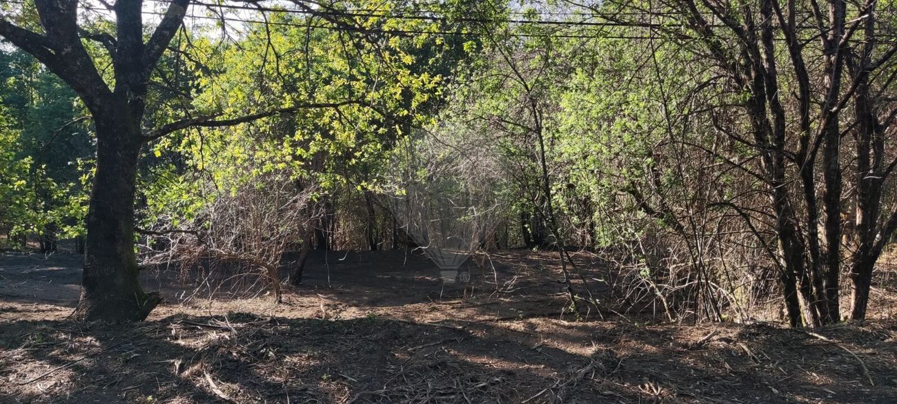 listing 126971005-1 picture-0