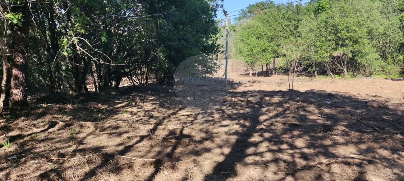 listing 126971005-1 picture-0