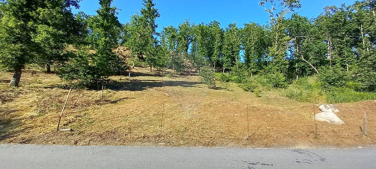 Terreno - Paçô, Arcos de Valdevez, Viana do Castelo
