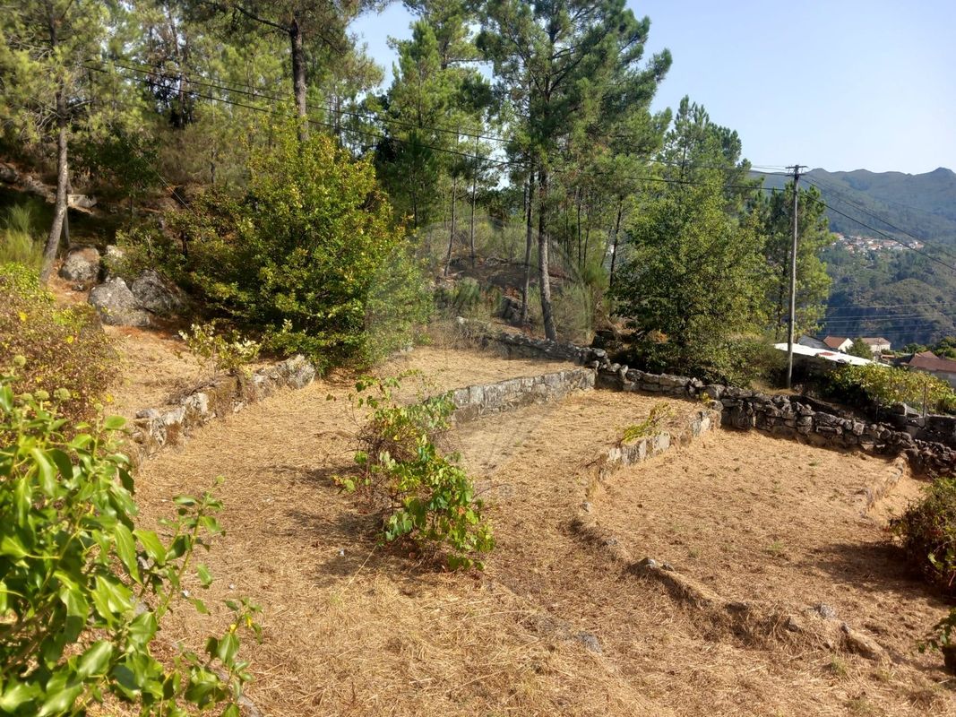 Terreno para venda