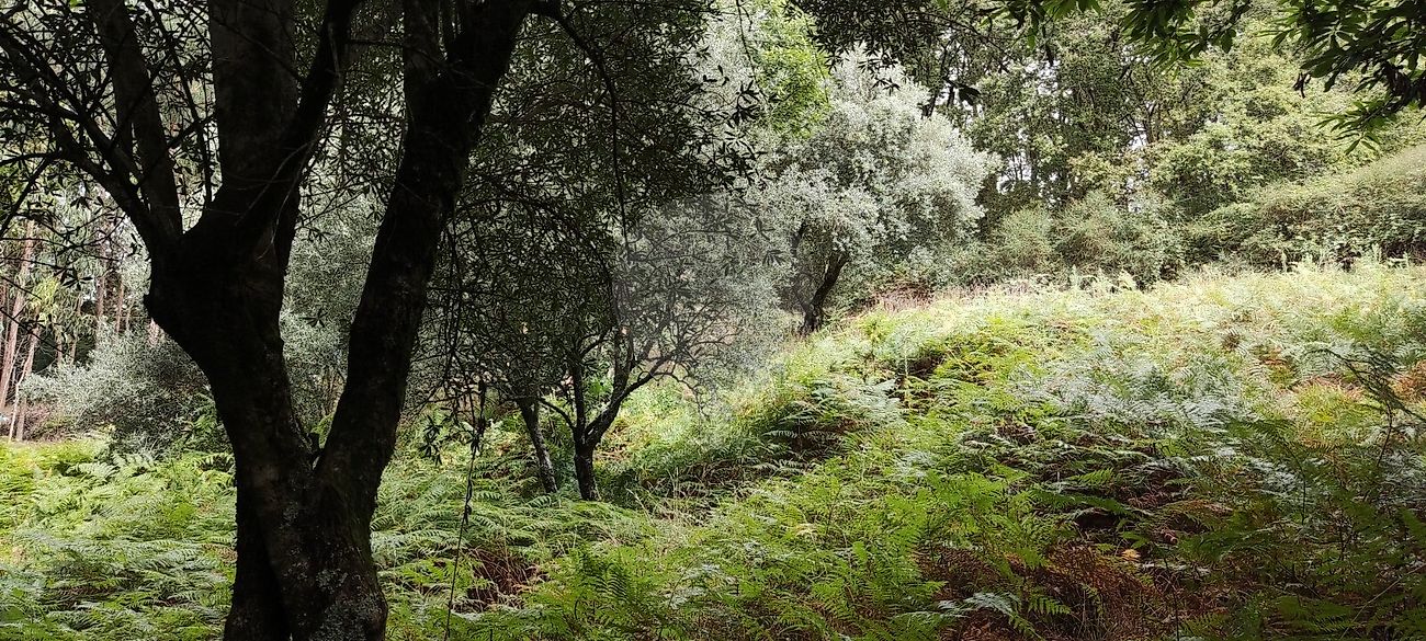 Terreno para venda