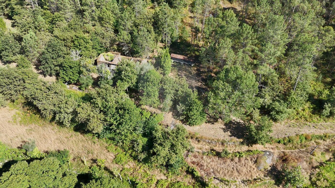 Terreno  para venda