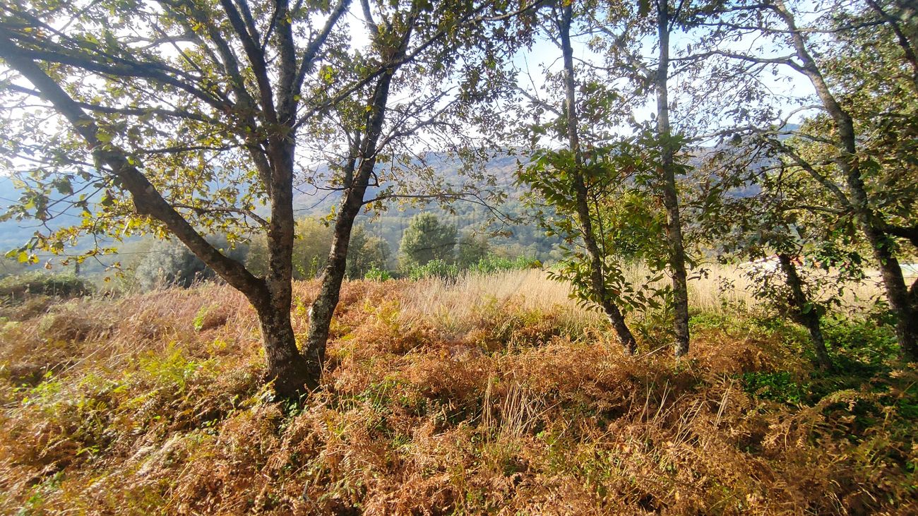 Terreno para venda