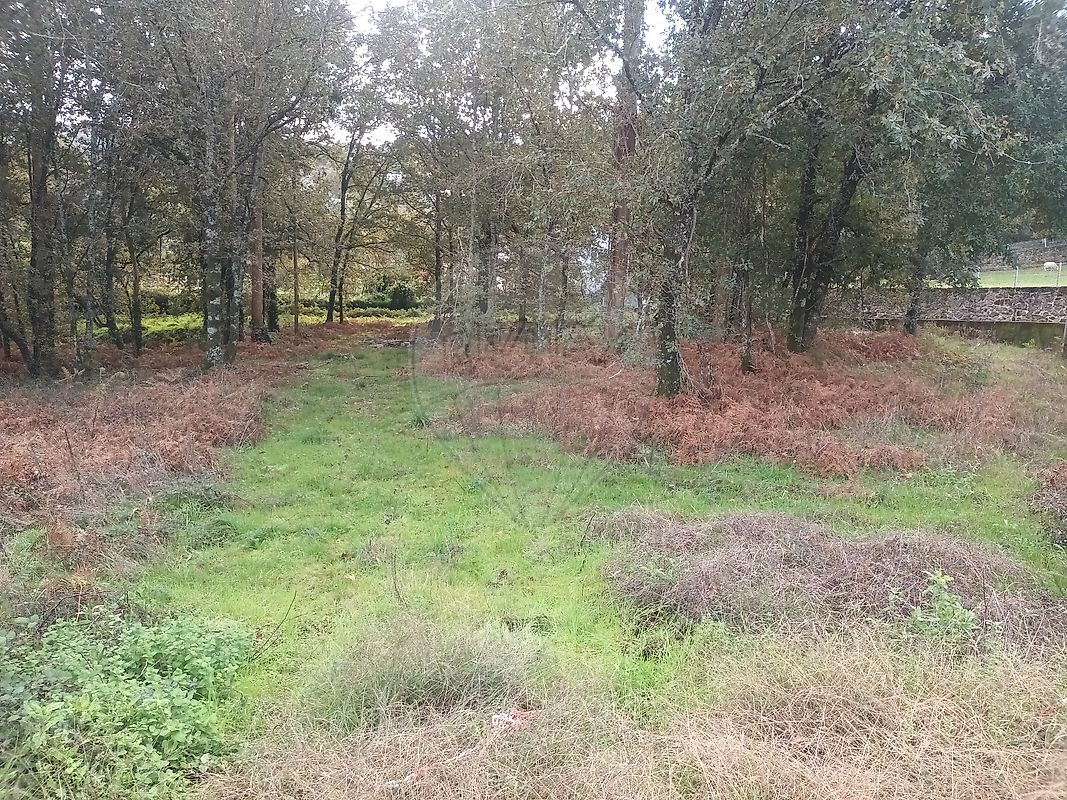 Terreno para venda
