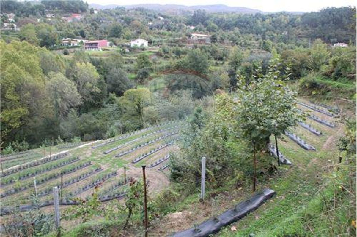Terreno para venda