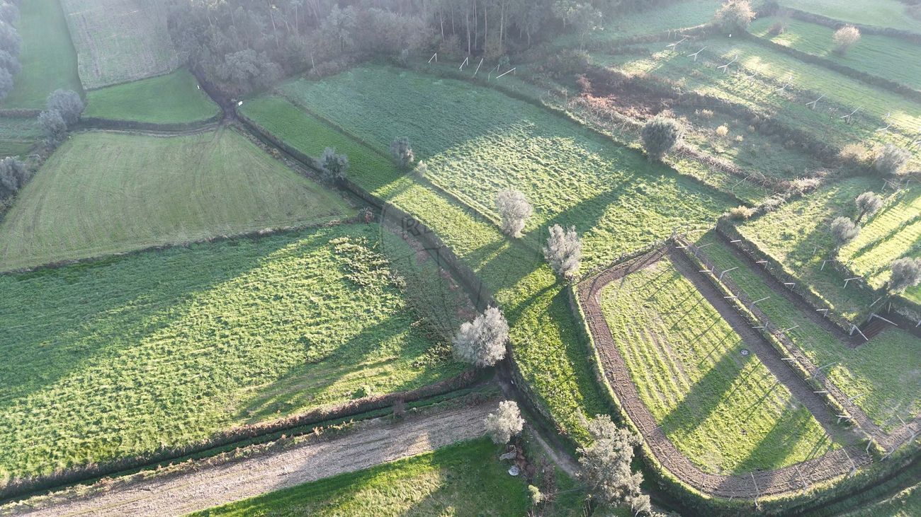 Terreno  para venda