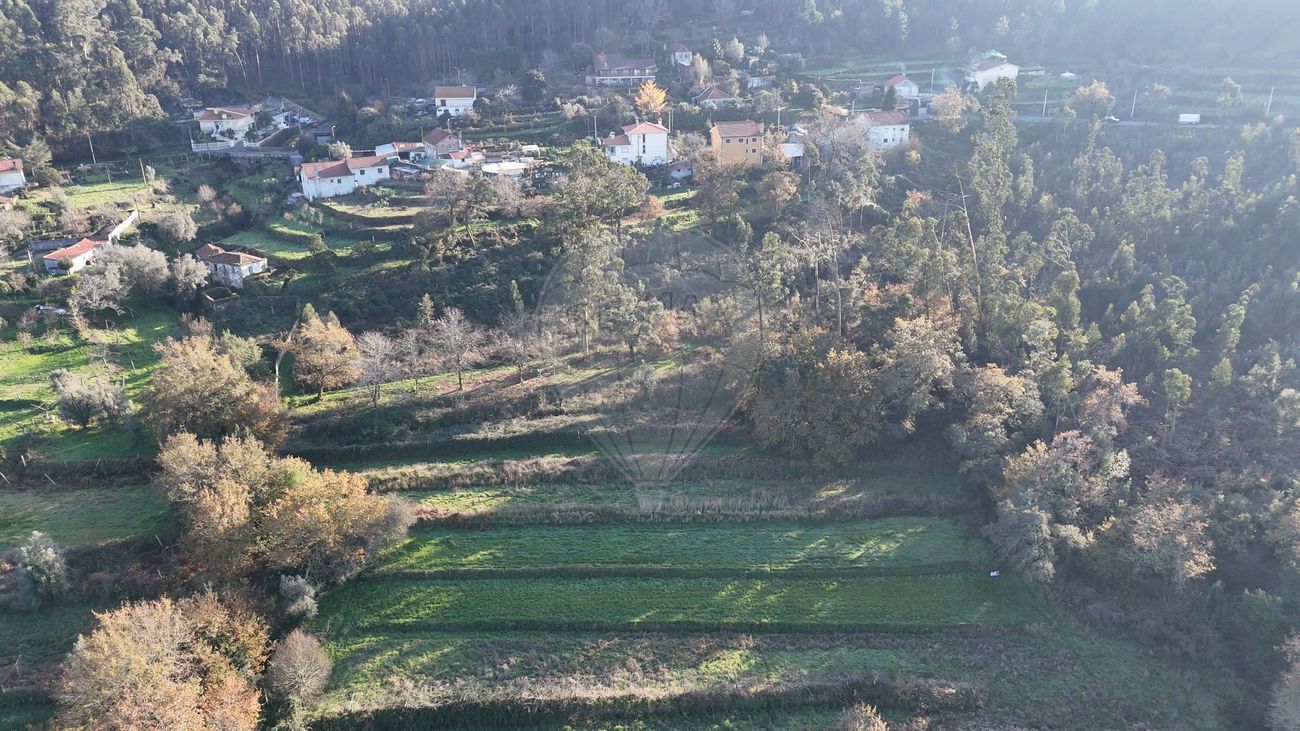 Terreno  para venda
