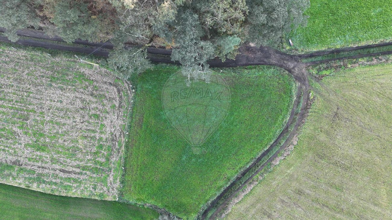 Terreno  para venda