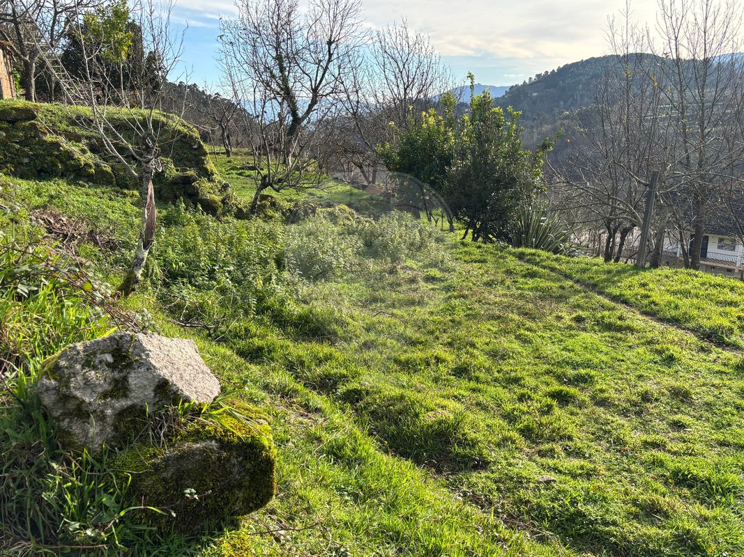 TODO