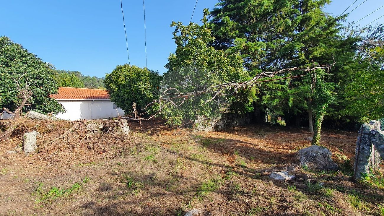 listing 123331167-526 picture-0