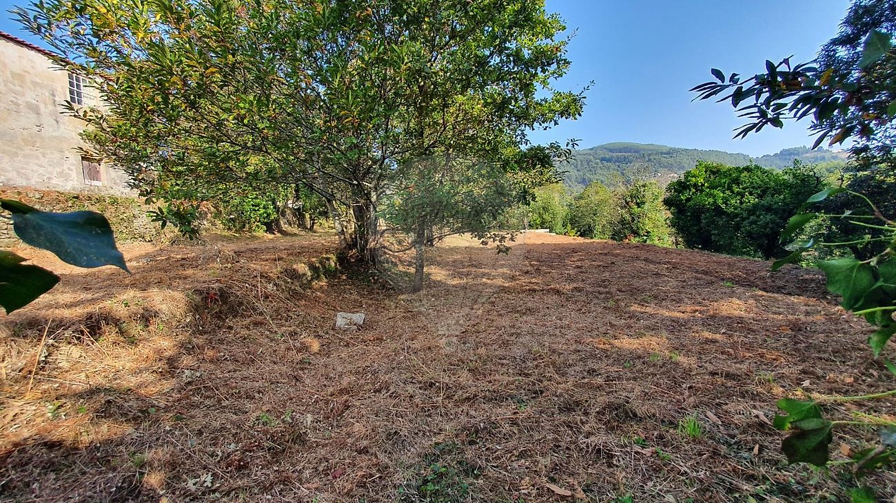 listing 123331167-526 picture-0