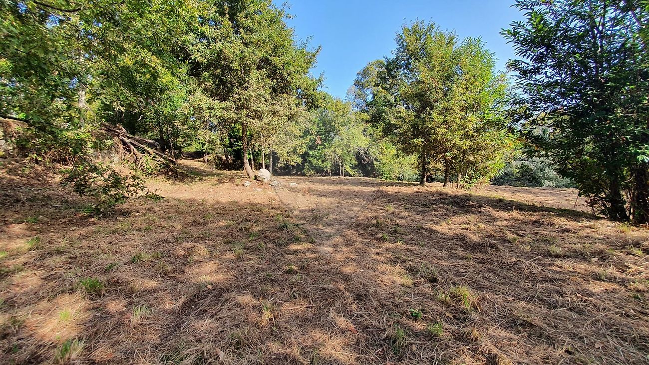 listing 123331167-526 picture-0