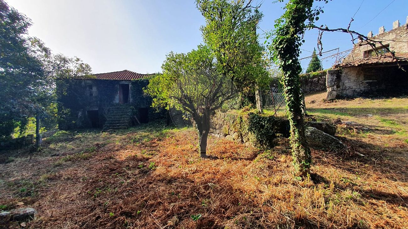 listing 123331167-526 picture-0