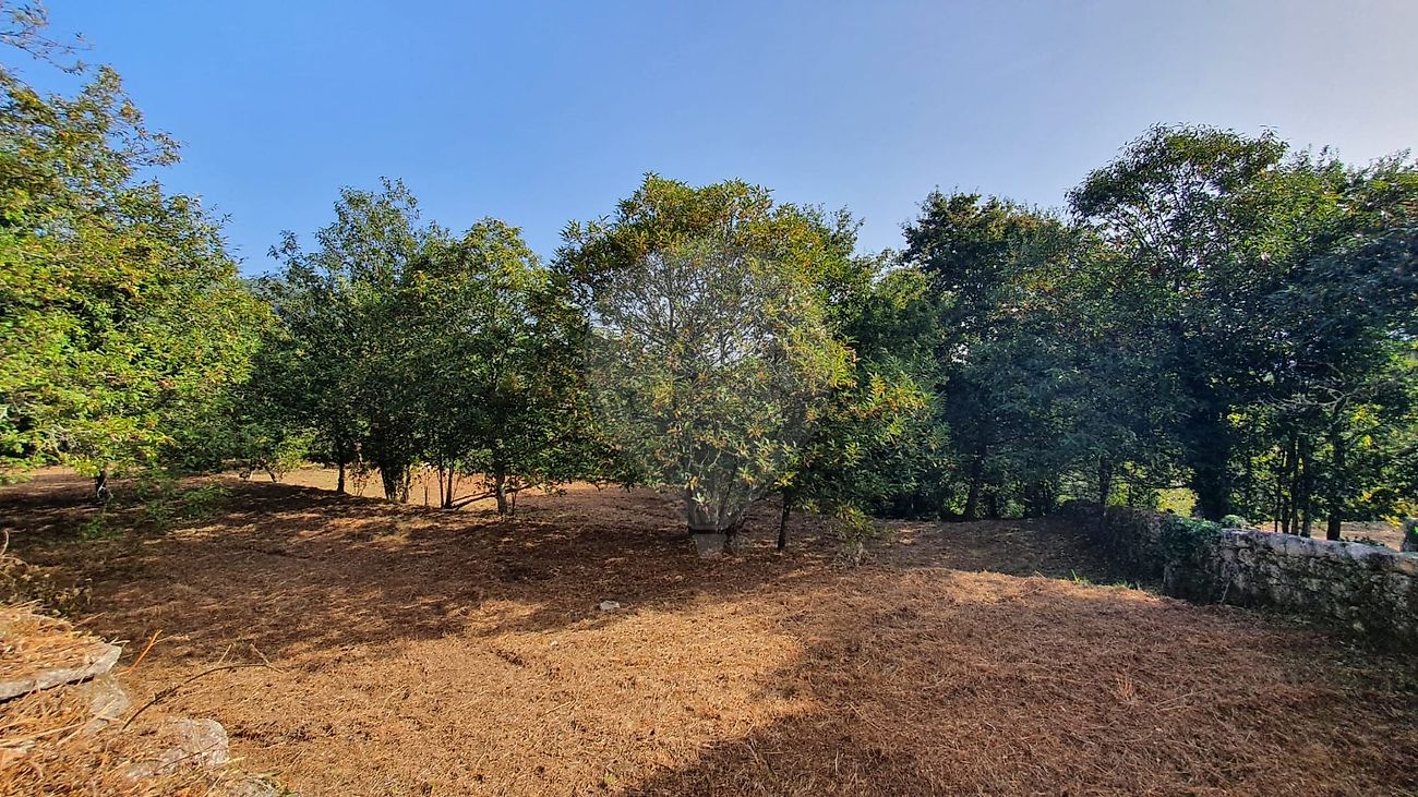 listing 123331167-526 picture-0
