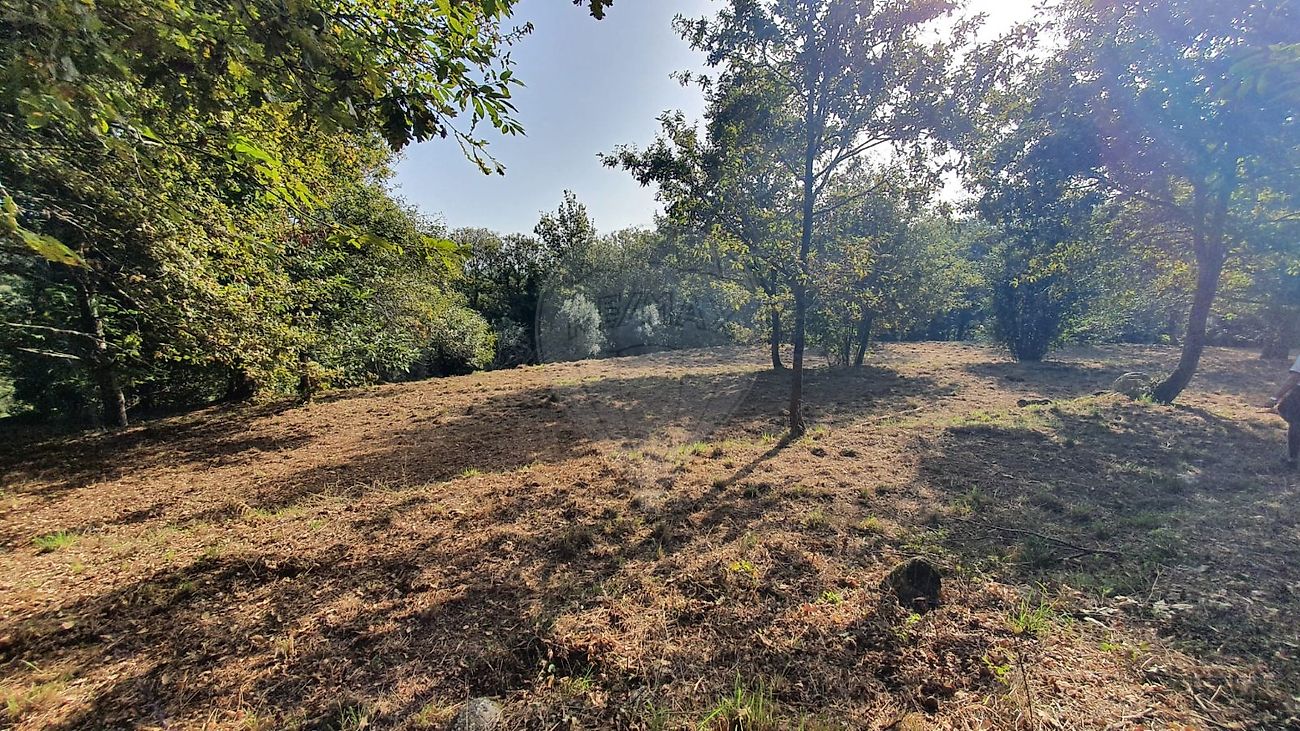 listing 123331167-526 picture-0