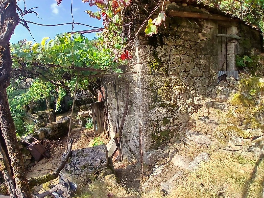 TODO