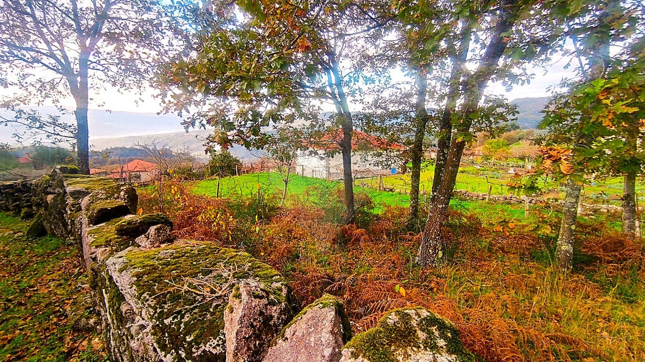 Terreno  para venda