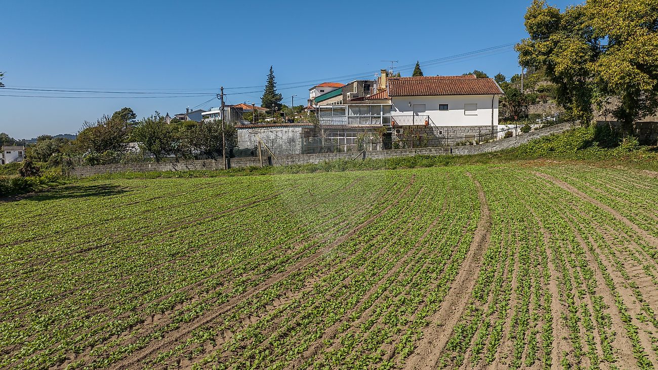 Terreno  para venda
