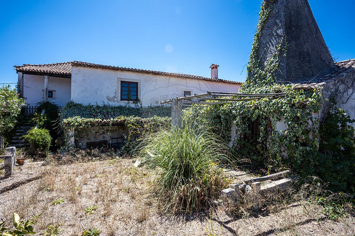 listing-picture-0