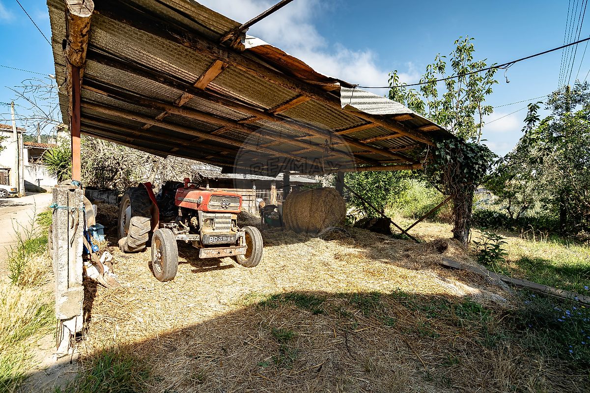 listing-picture-0