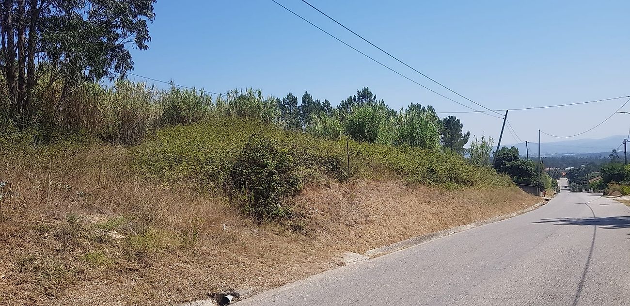 Land for sale in Condeixa-a-Nova, Portugal — €72,500