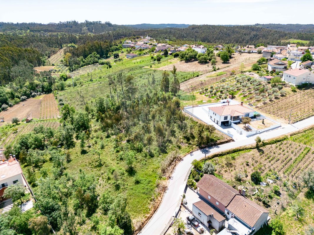 listing 123351185-3 picture-0