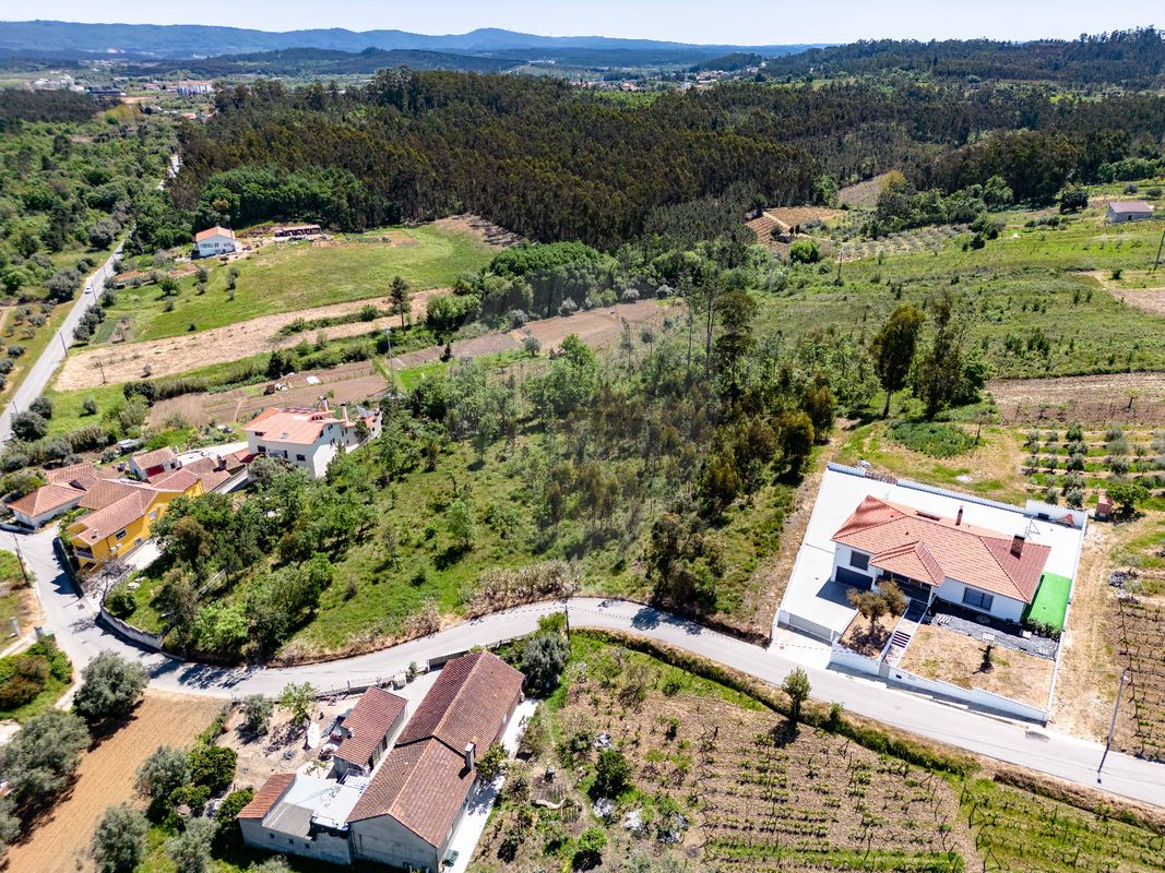 listing 123351185-3 picture-0