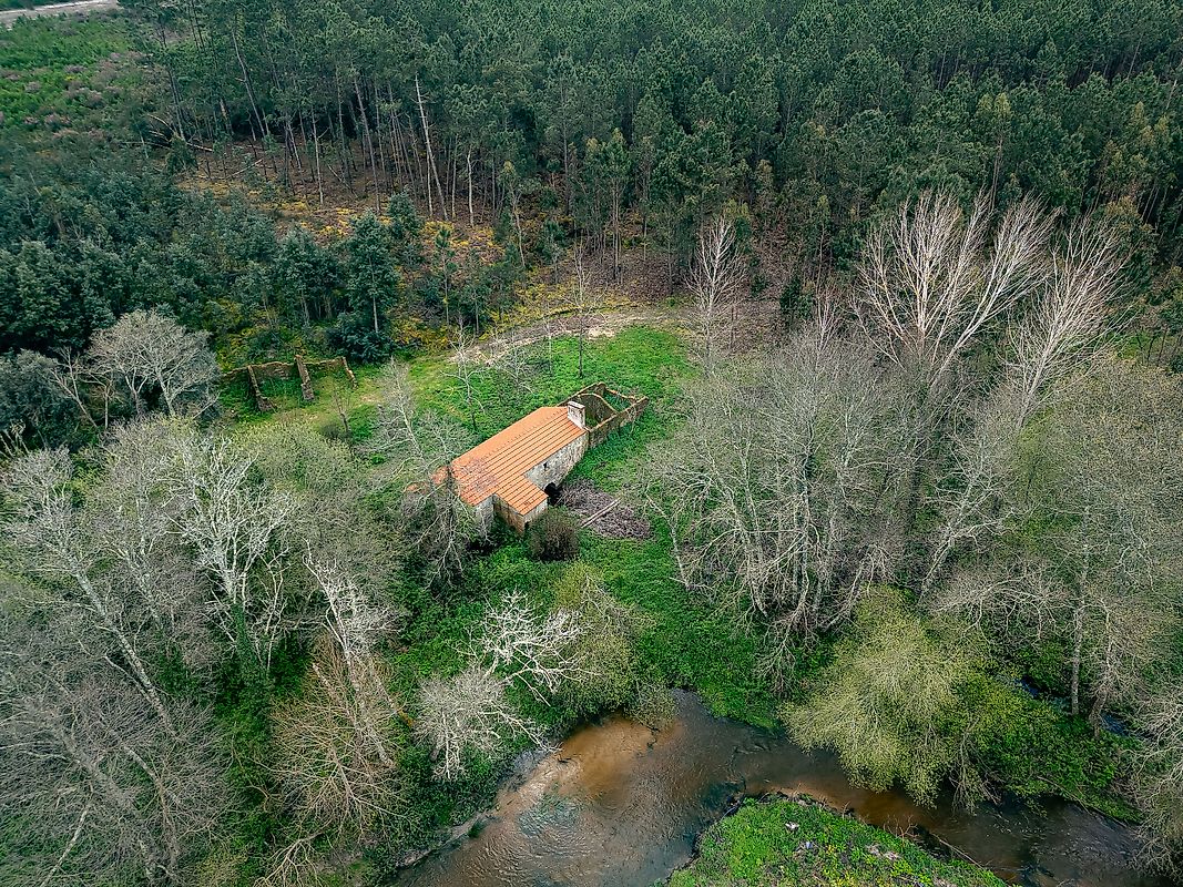 Quinta à venda em Cantanhede