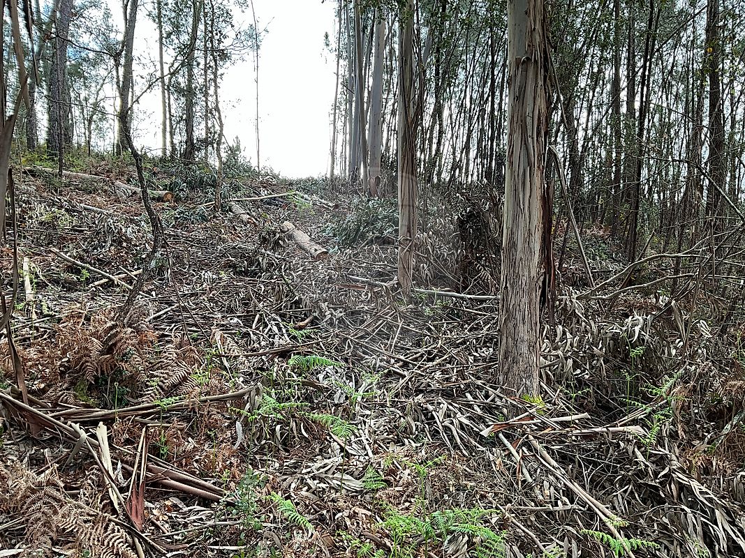 Terreno para venda