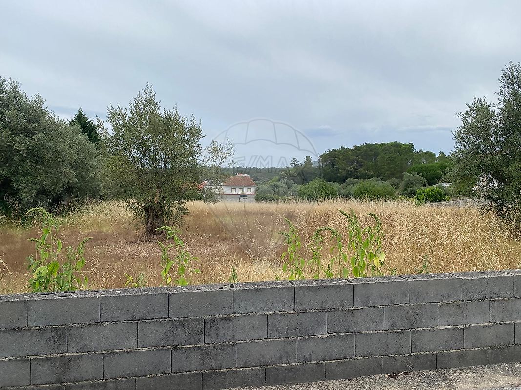Terreno - Tapéus, Soure, Coimbra
