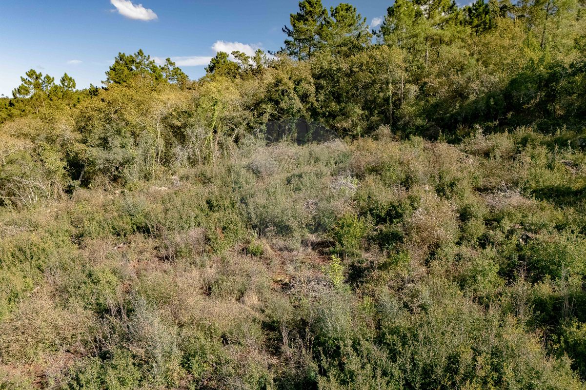 listing 123351185-22 picture-0