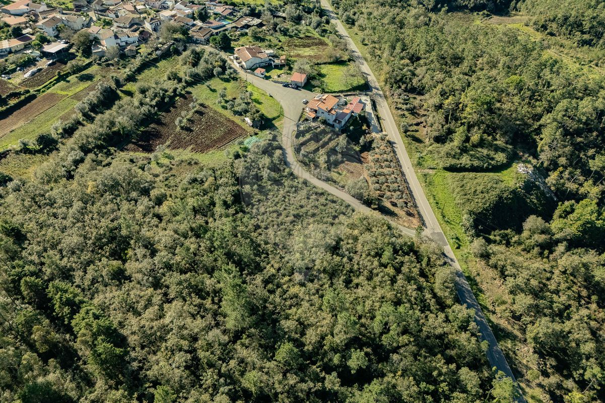 listing 123351185-22 picture-0