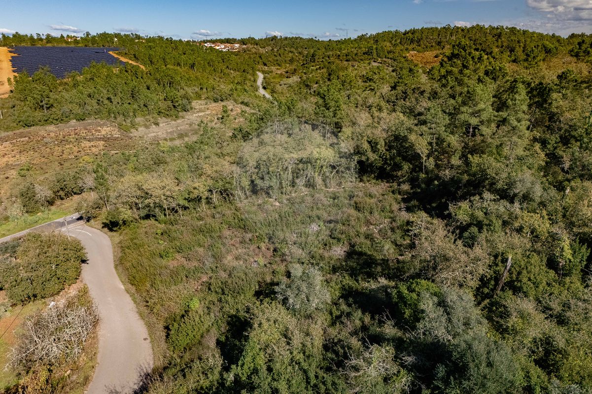 listing 123351185-22 picture-0