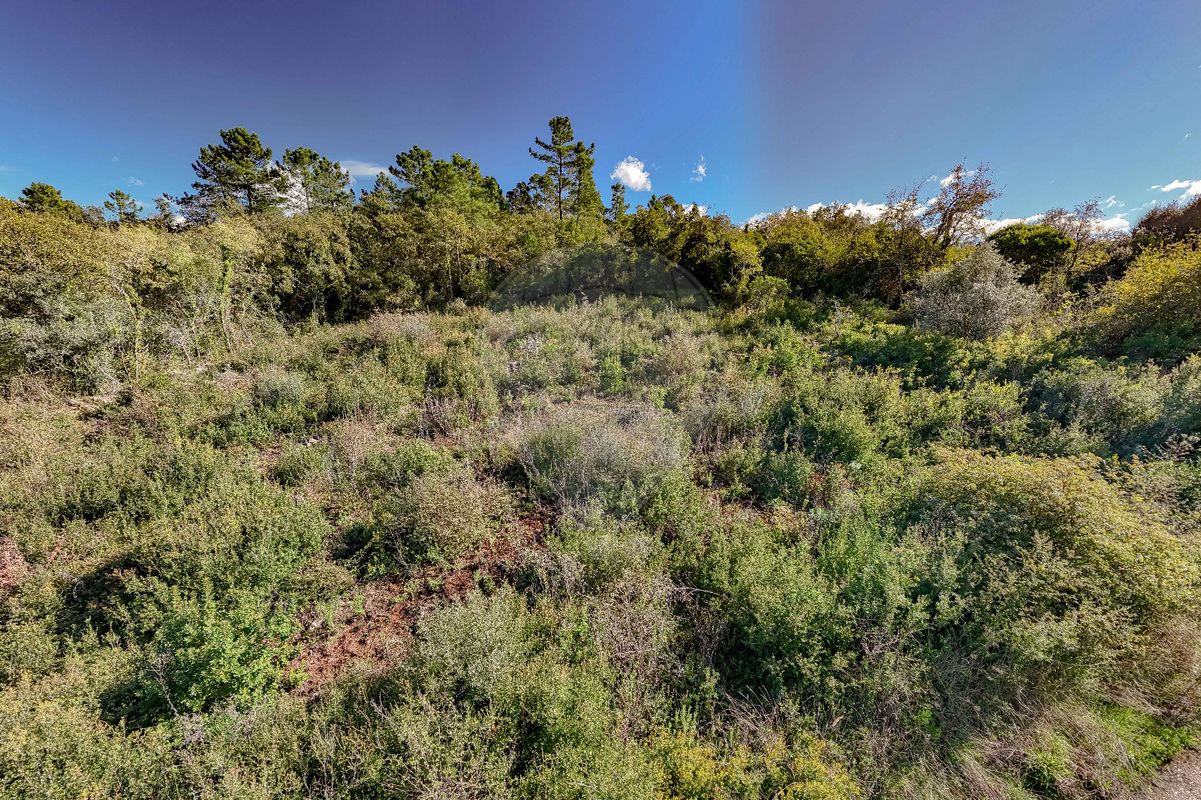 listing 123351185-22 picture-0