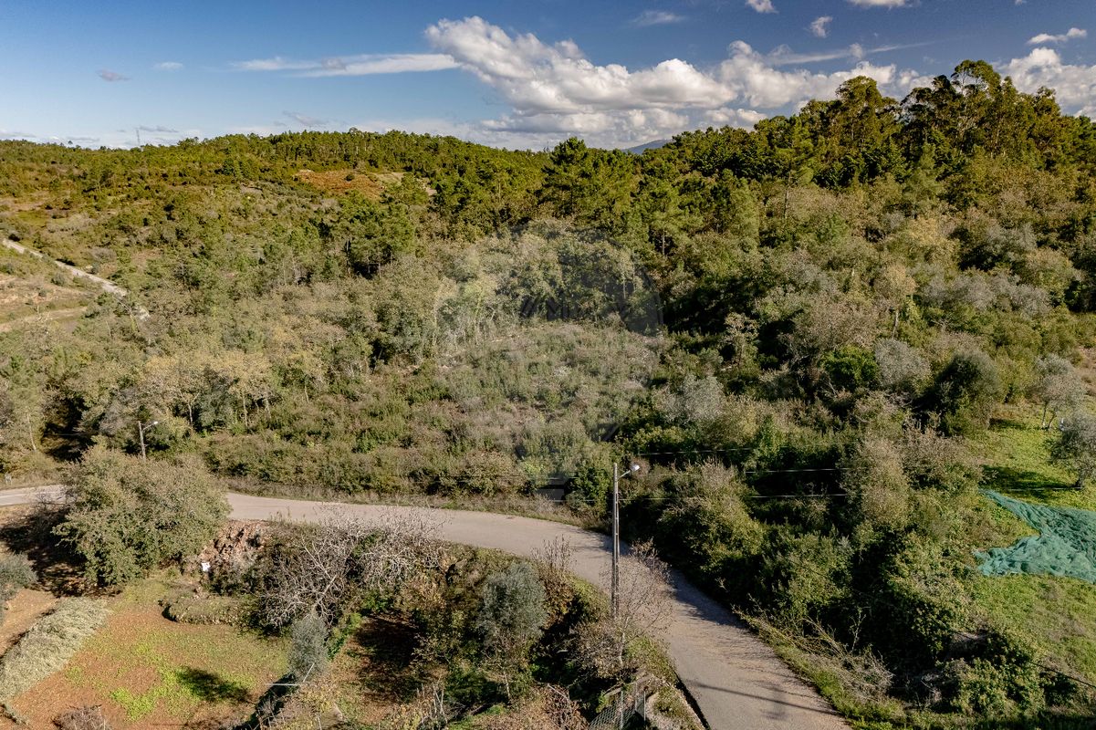listing 123351185-22 picture-0
