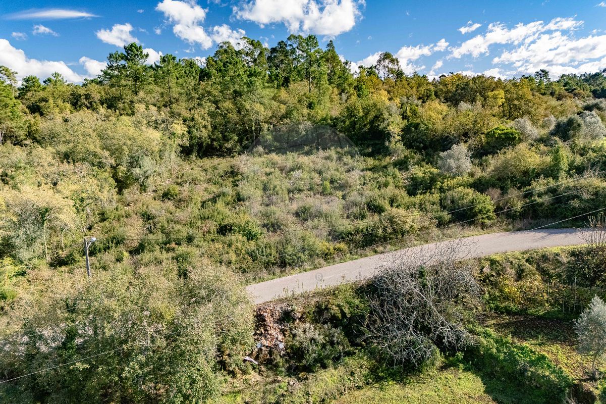 listing 123351185-22 picture-0