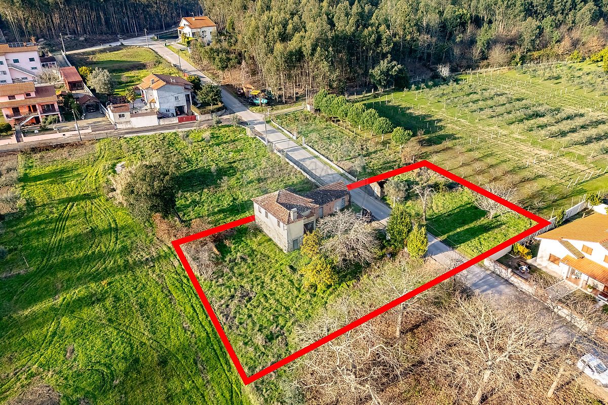 Moradia - São Joaninho, Santa Comba Dão, Viseu