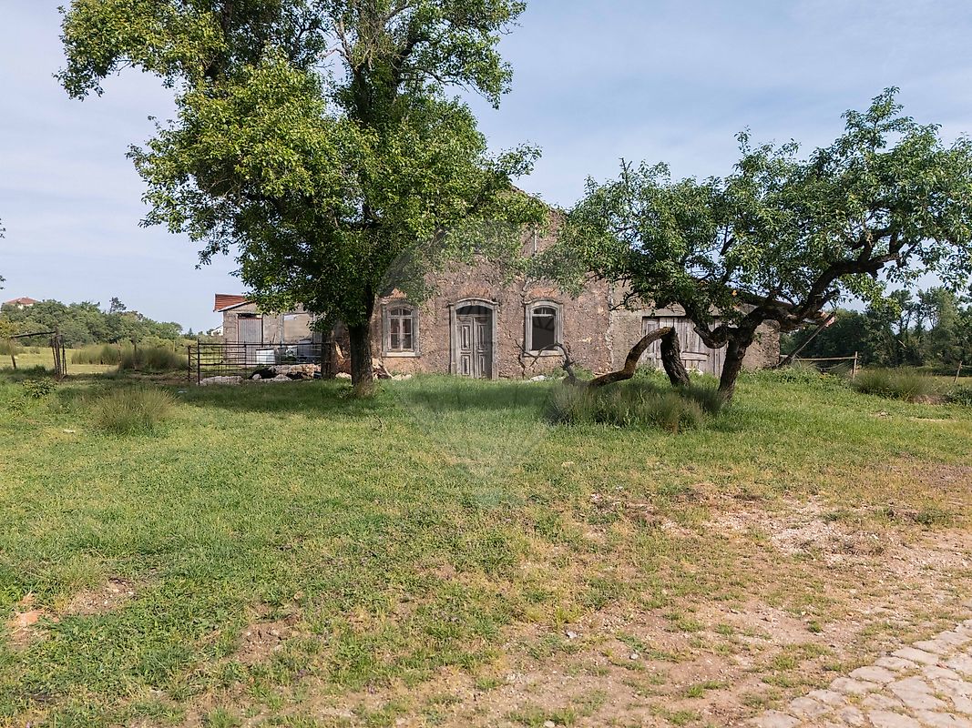 Quinta - Aguda, Figueiró dos Vinhos, Leiria