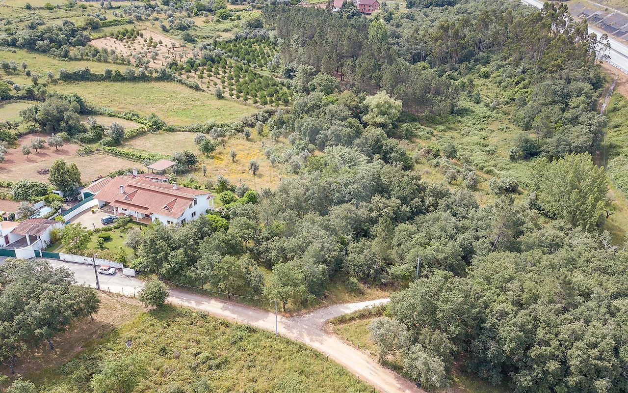 Terreno - São Miguel, Santa Eufémia e Rabaçal, Penela, Coimbra