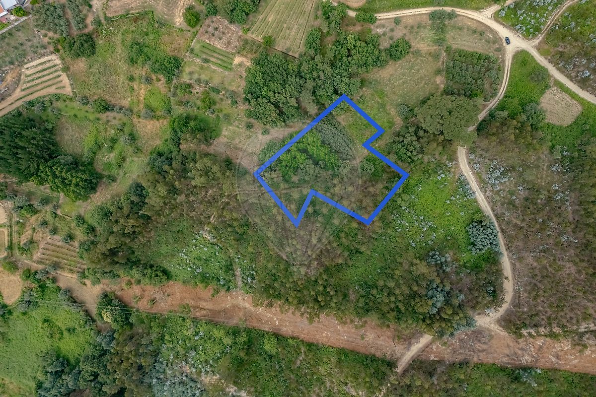 Terreno - Carvalho, Penacova, Coimbra