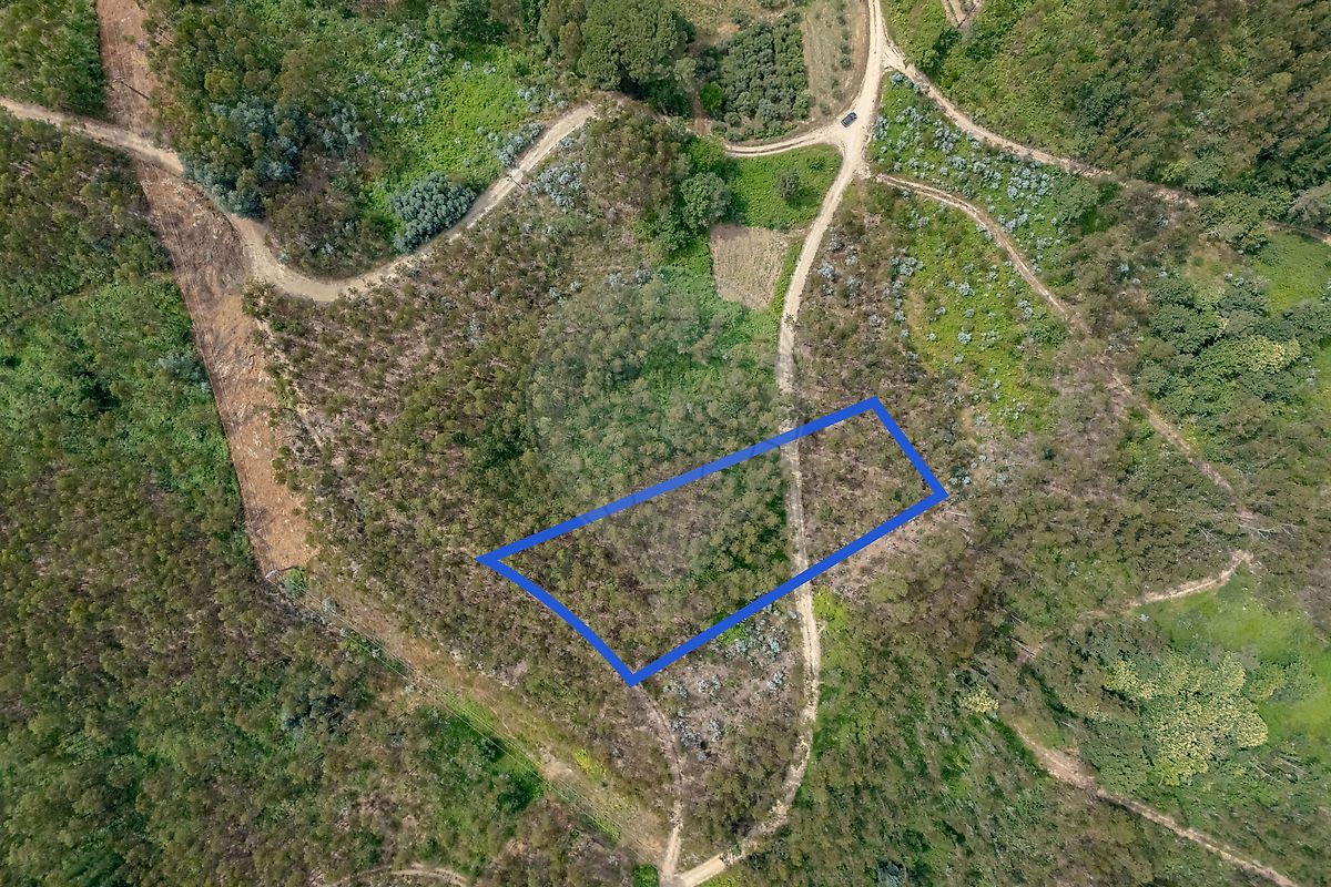 Terreno - Carvalho, Penacova, Coimbra
