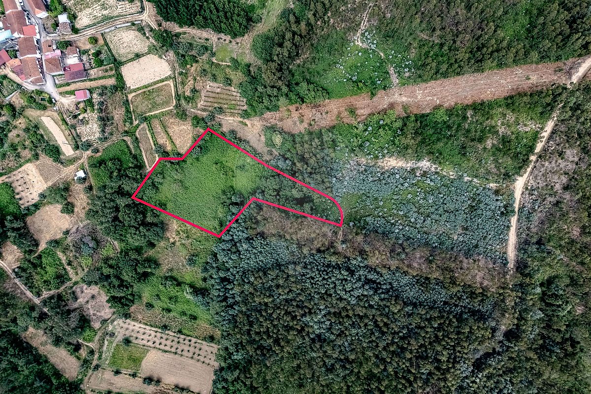 Terreno - Carvalho, Penacova, Coimbra