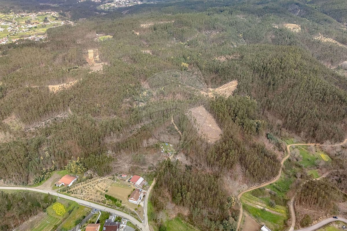 Terreno - Cercosa, Mortágua, Viseu