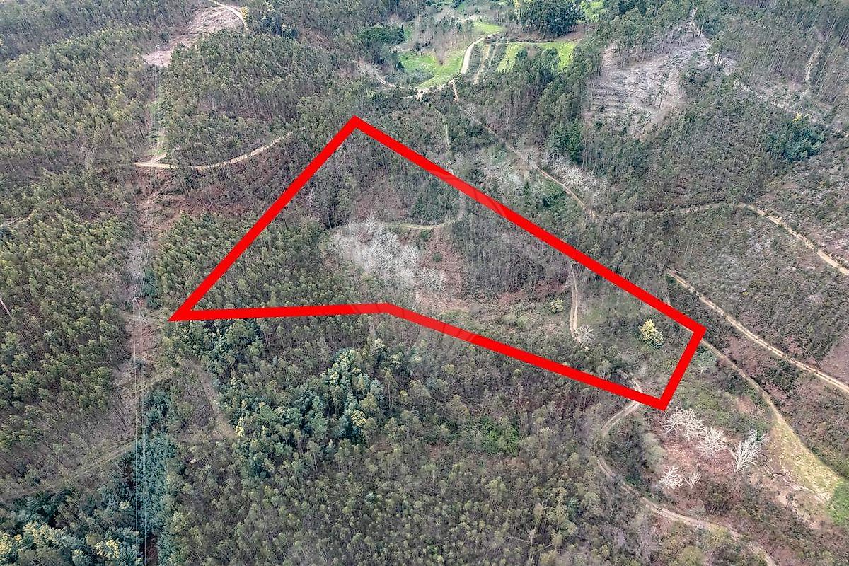 Terreno - Cercosa, Mortágua, Viseu