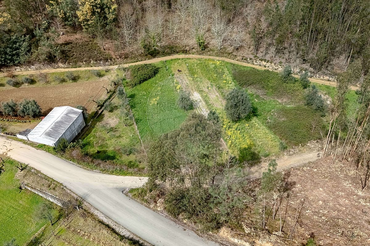 Terreno - Cercosa, Mortágua, Viseu