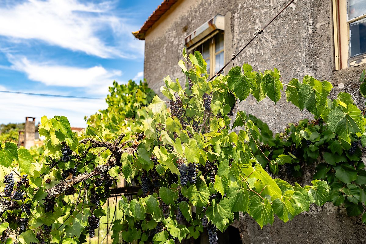 Moradia T3 à venda em Arrifana, Vila Nova de Poiares — foto 15
