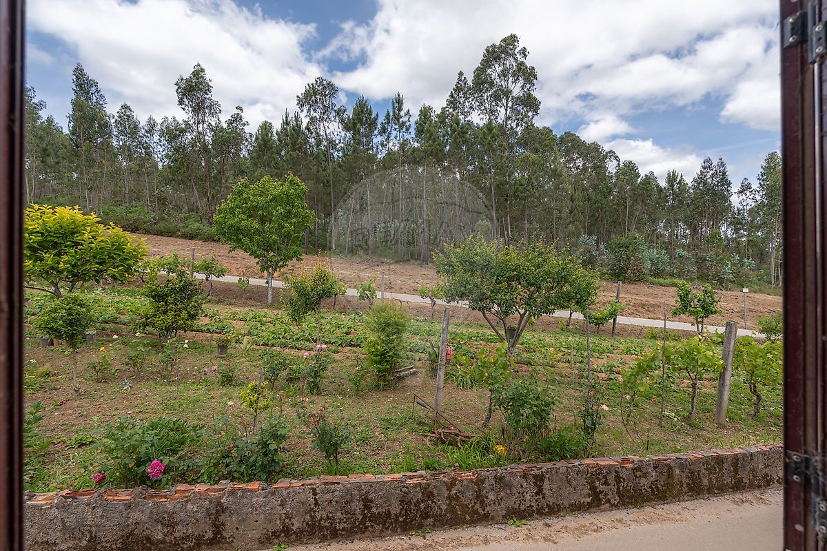 Moradia T3 à venda em Poiares (Santo André), Vila Nova de Poiares — foto 23