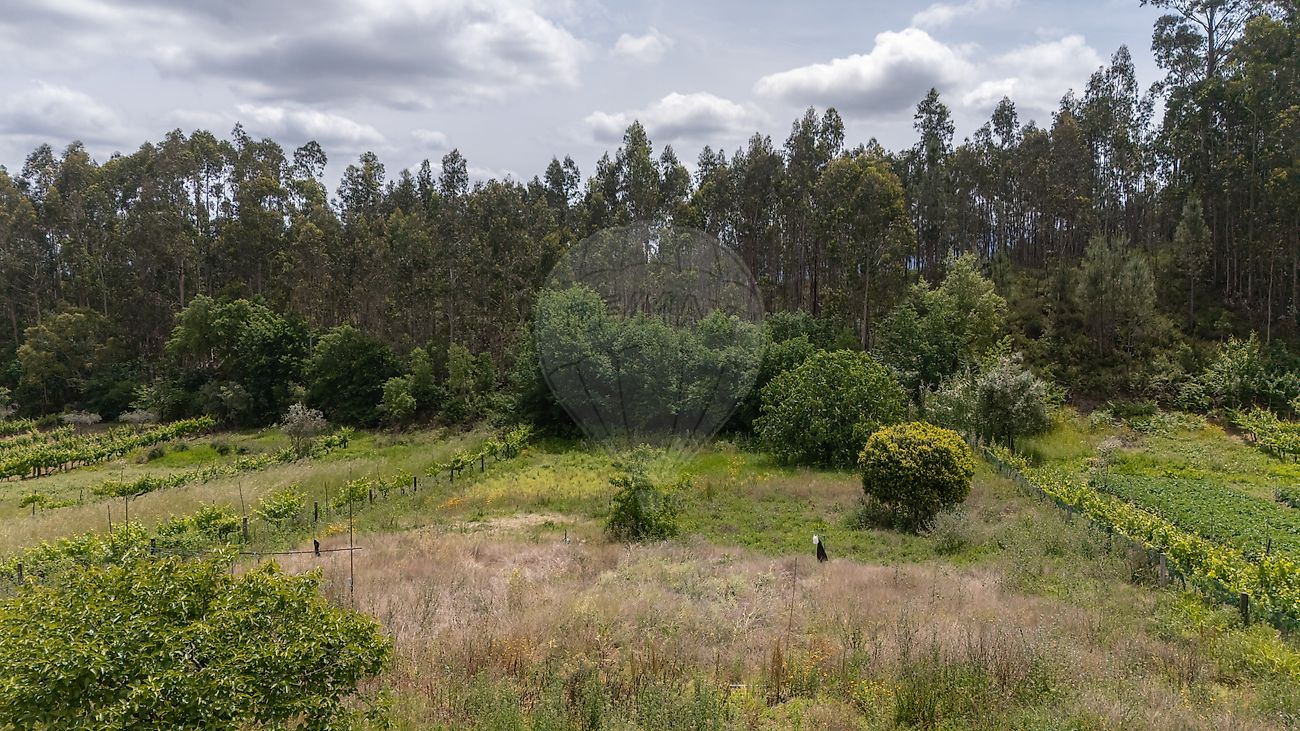 Moradia T3 à venda em Poiares (Santo André), Vila Nova de Poiares — foto 25