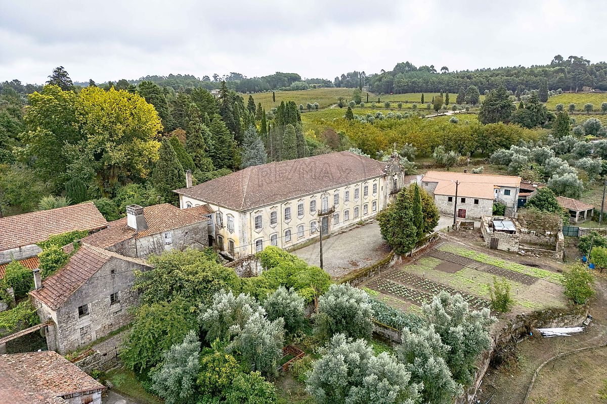 Quinta - Oliveira do Conde, Carregal do Sal, Viseu