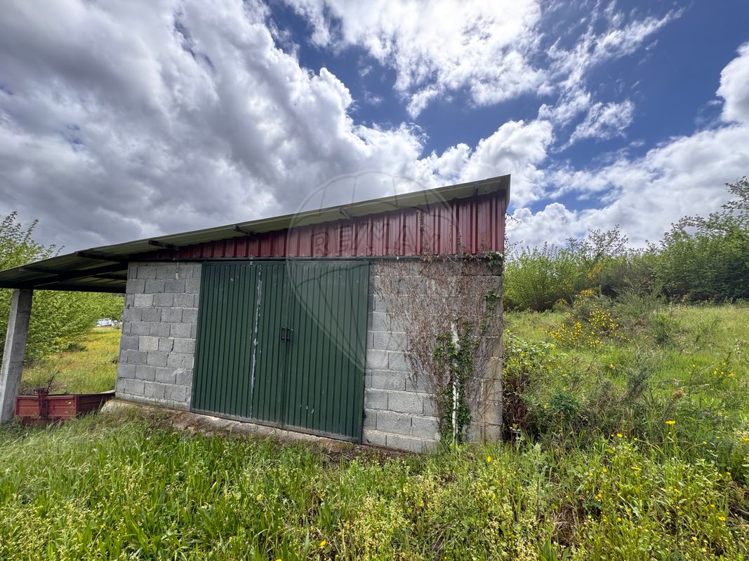 listing-picture-0